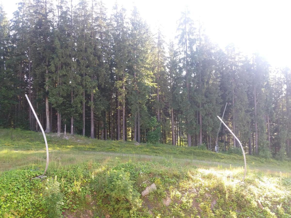 Petros Hotel Bukovel Exterior foto
